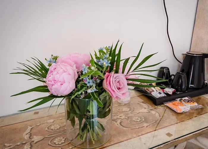 Residenza Due Torri Check In Presso Vicolo Cattani 7 Konukevi